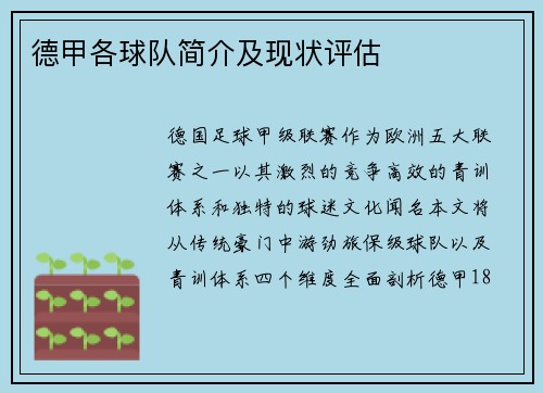 德甲各球队简介及现状评估